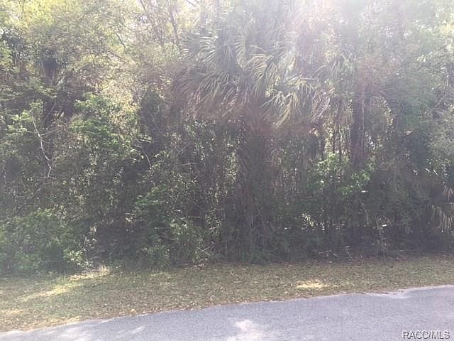 2nd image of 4375 N Weewahi Point