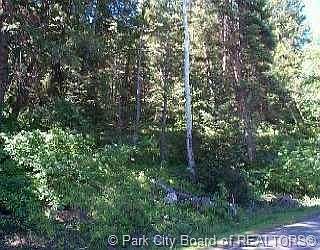 1st image of 150 Matterhorn Dr #M-36
