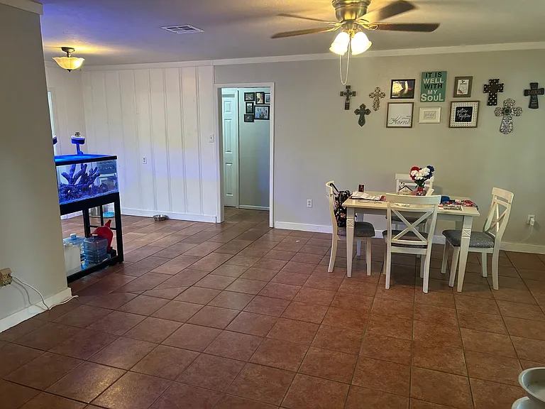 910 Whitewing Dr — Photo 6