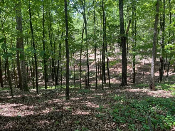 Broad St, Cave Spring, GA 30124