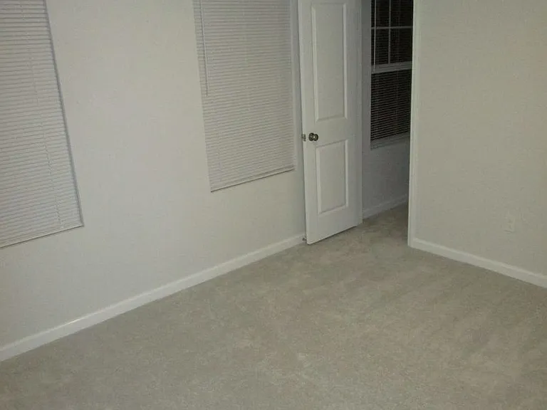 1007 Hemlock Cone Way — Photo 11