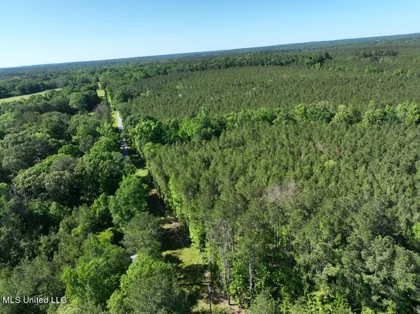 1086 Smith County Rd #140, Raleigh, MS 39153