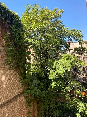 Rented by Compass | media 12