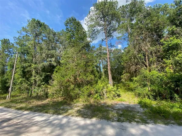13701 NE 66th Ave Lot 5, Citra, FL 32113
