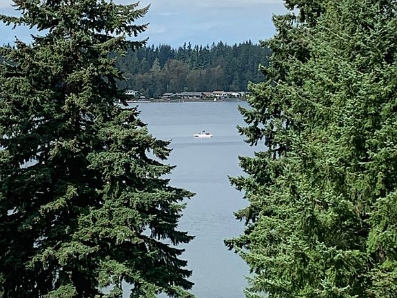 View 2 from the deck