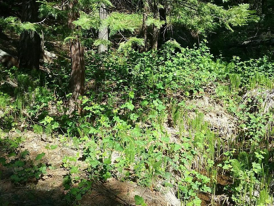 1st image of 17675 Camp Dr