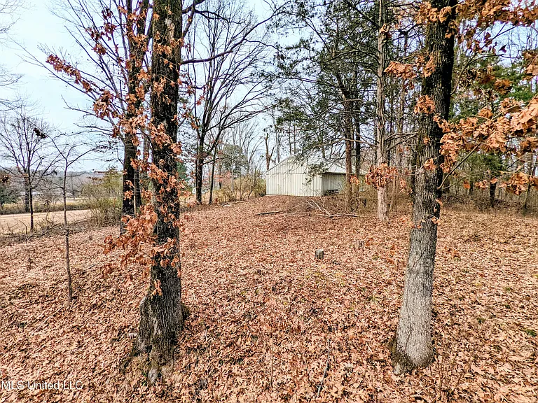 237 Highway 51 S — Photo 47