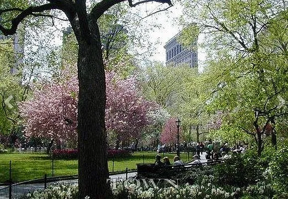 Rented by Town Residential | media 43