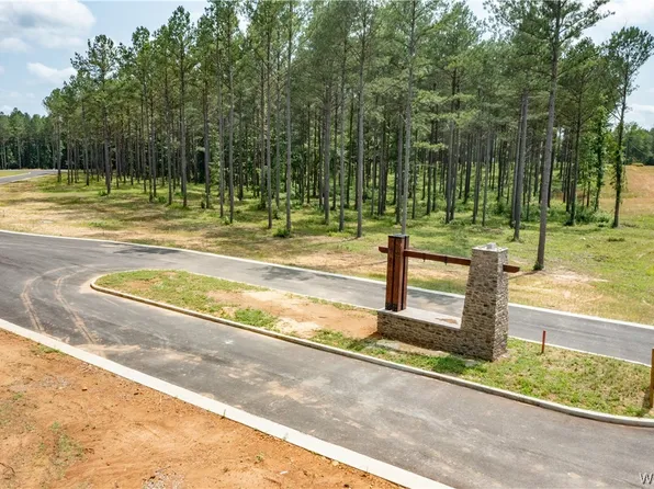 LOT 5 Northside Rd, Berry, AL 35546
