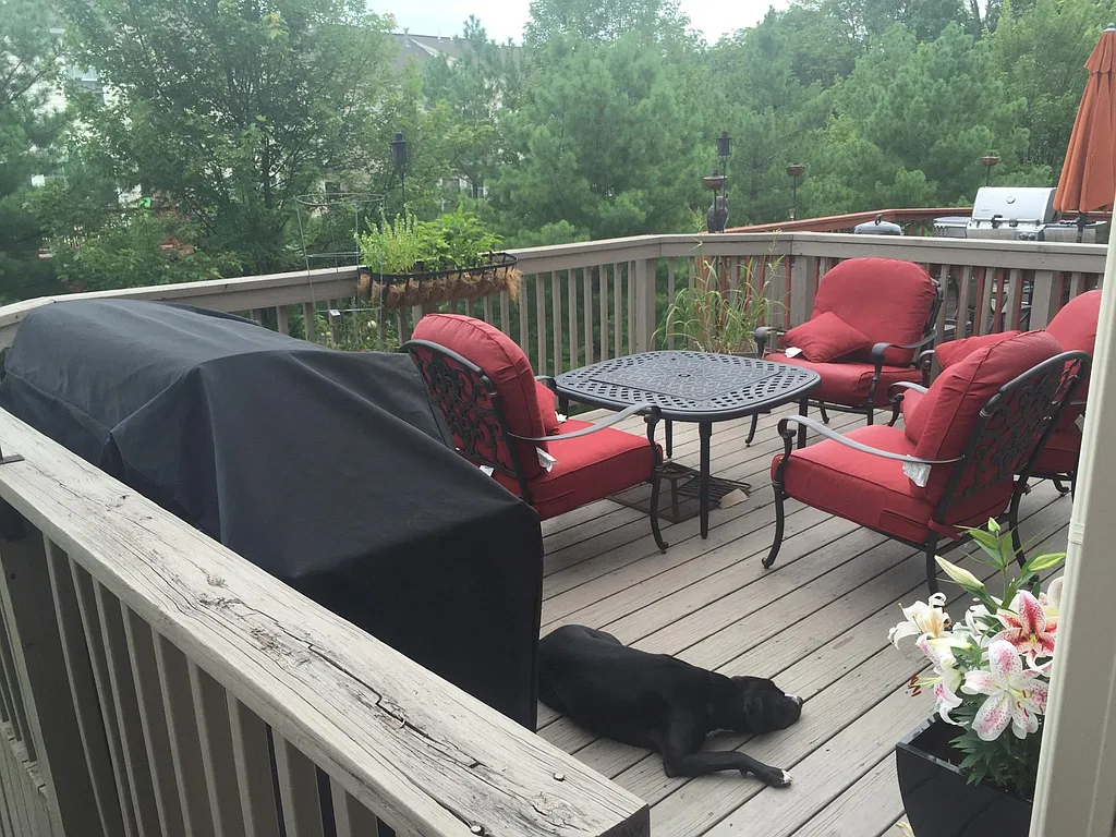 Property photo 5
