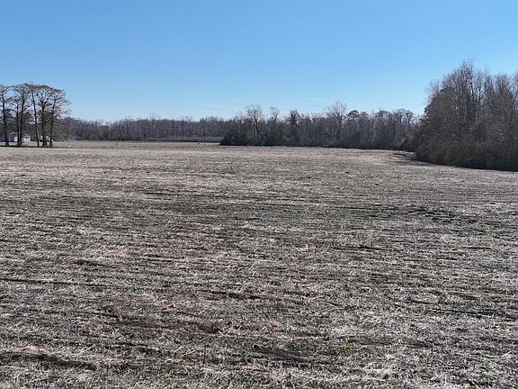 5th image of 00 Cal Jones Road