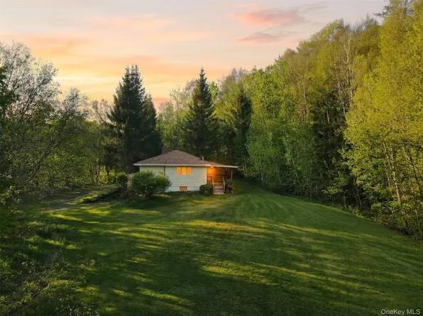 2220 Old Route 17, Roscoe, NY 12776