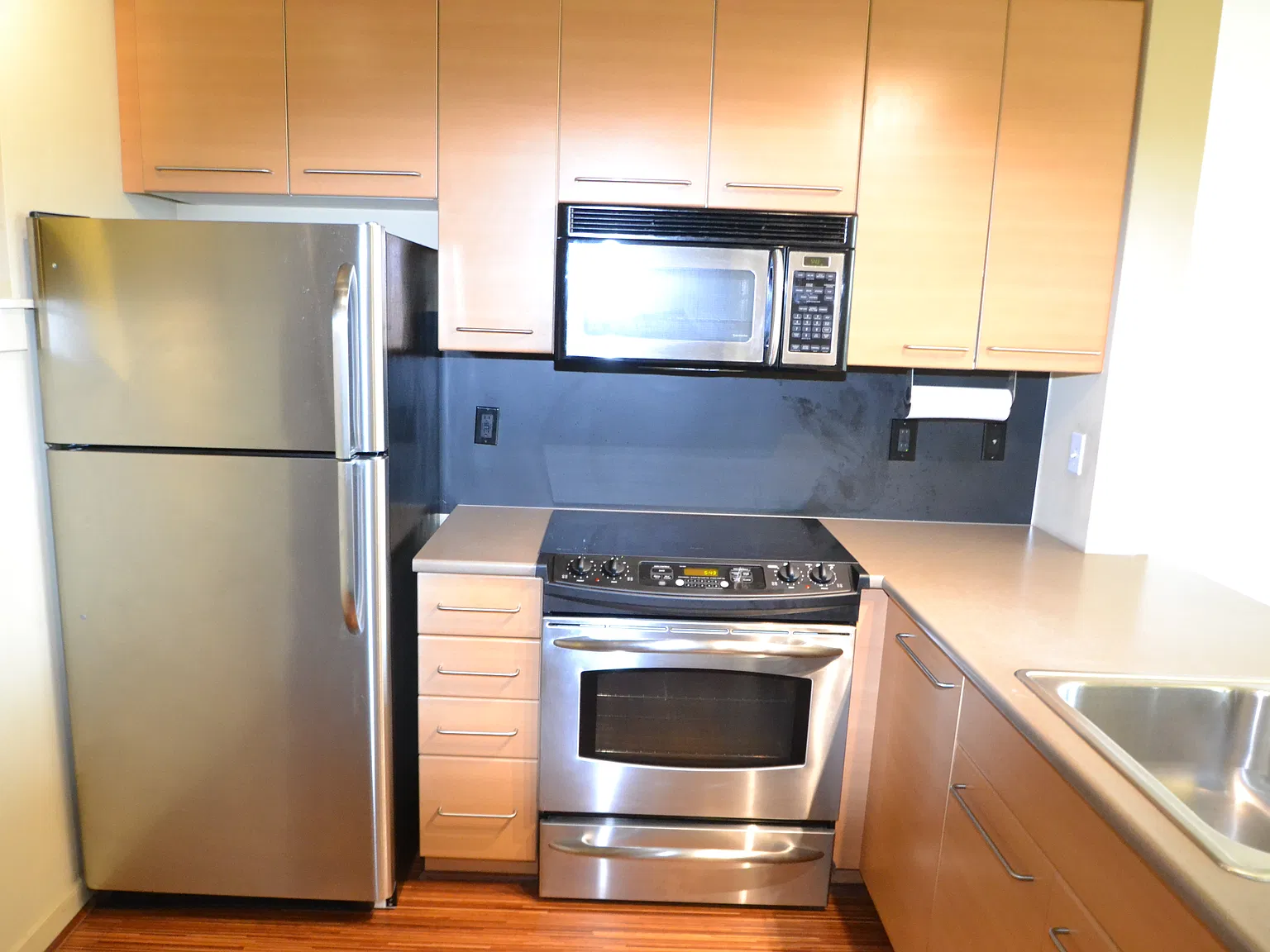 1 bed, 557 sqft, $2,030 — Photo 3