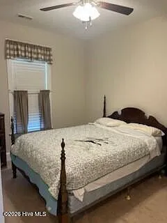 3702 Cinnamon Fern Dr — Photo 7