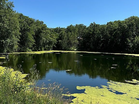 2nd image of 6 SE Honey Creek Acres Hwy #21