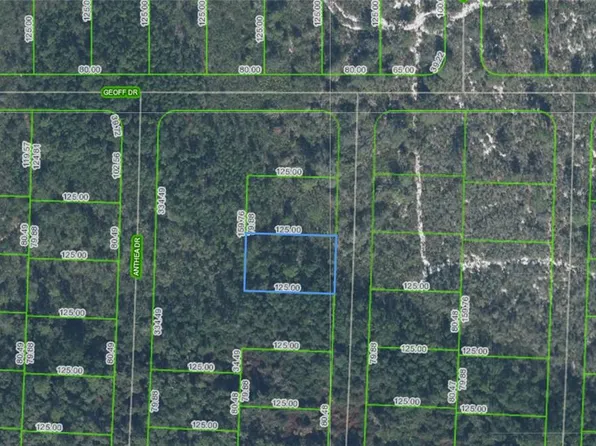 6316 Alicia Dr Lot 46, Sebring, FL 33872