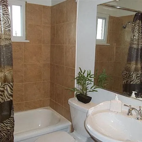 Cedarwood Estates Apartments — Photo 9