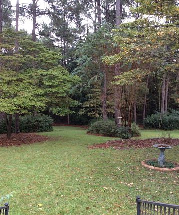 3rd image of 206 Amberwood Dr E