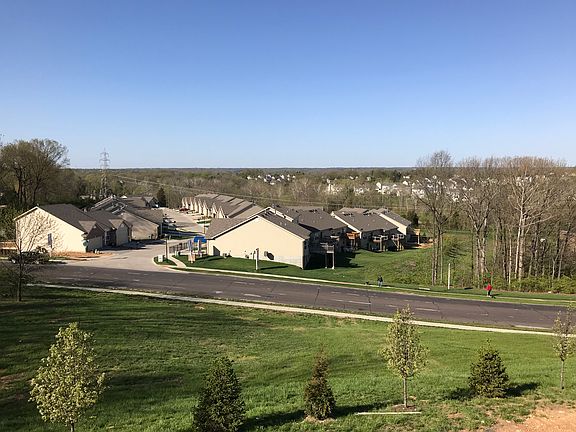 Rear yard w/o maintainance