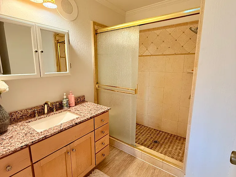 Master bath with walk-in shower.