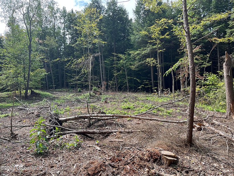 5th image of L59 Centerline Road