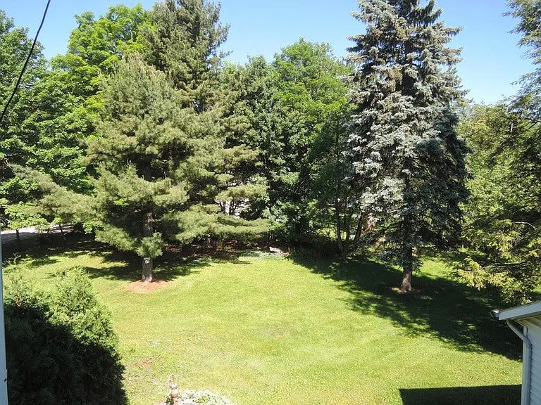 View from upstairs back yard