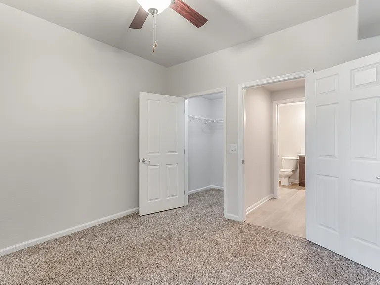 Large bedroom with a walk-in closet