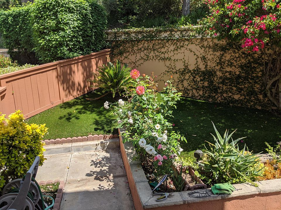patio view from front door