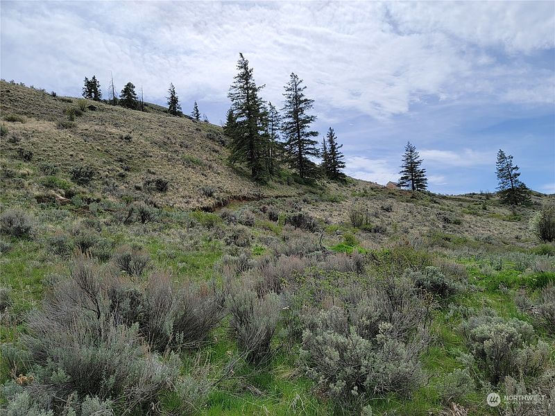 5th image of 98 Tyee View Loop RD