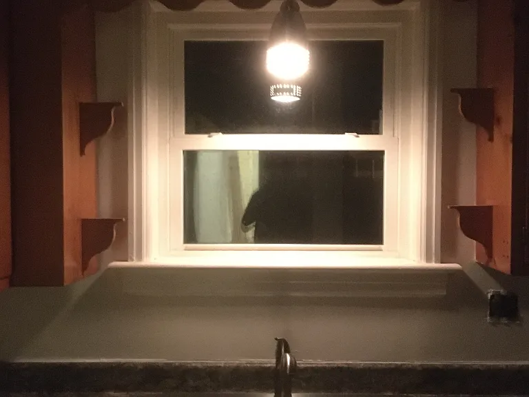 517 Pine St #3 — Photo 7