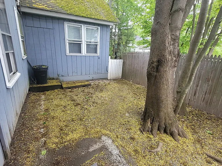 229 Wilson St #A — Photo 11
