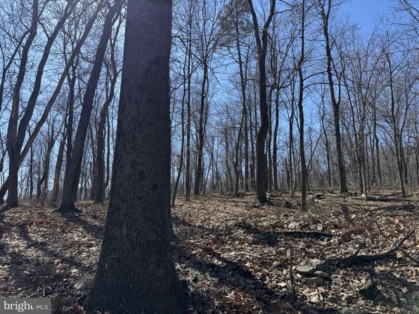 20/ACRE S Punch Bowl Rd, Mercersburg, PA 17236