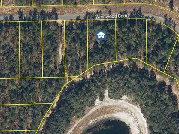 115 Westwood Dr Lot 25, Interlachen, FL 32148