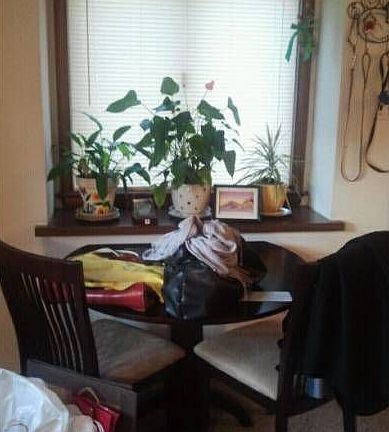 Dining area/large windows