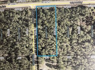 10605 Amos Ave, Hastings, FL 32145