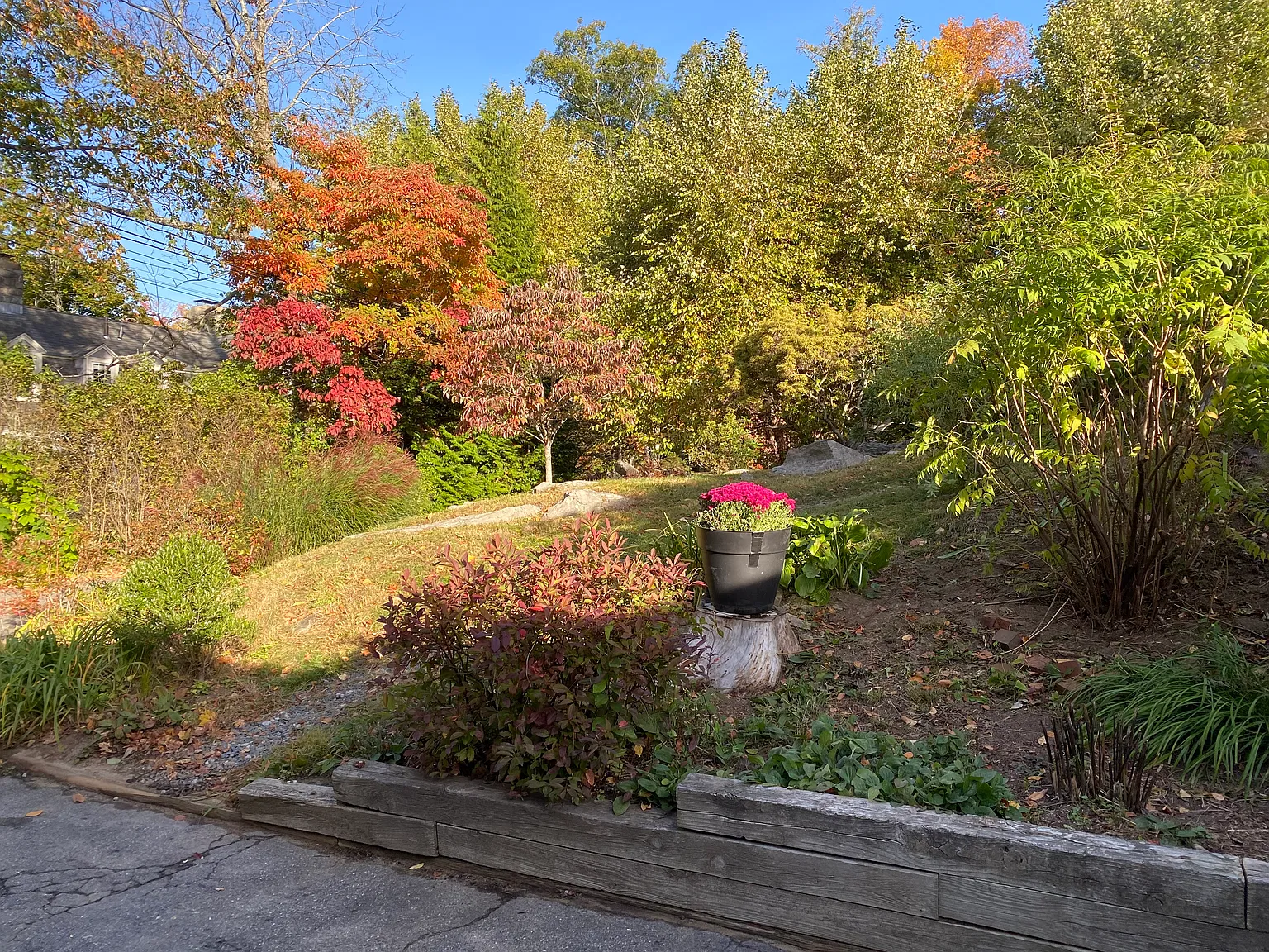 1 bed, 900 sqft, $2,700 — Photo 2