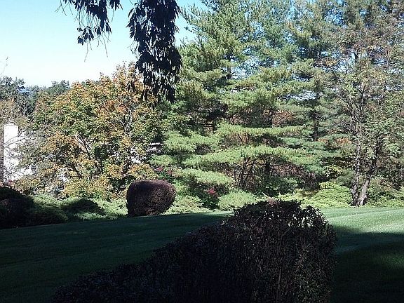 Frontal View