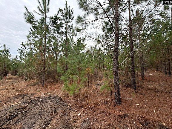 5th image of Bff Ii 3 Jc Barefoot Rd