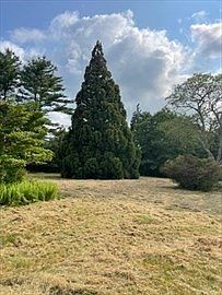 3rd image of 349 Old Fall River Rd