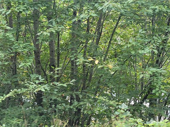 4th image of 1840 W Deegan Rd W