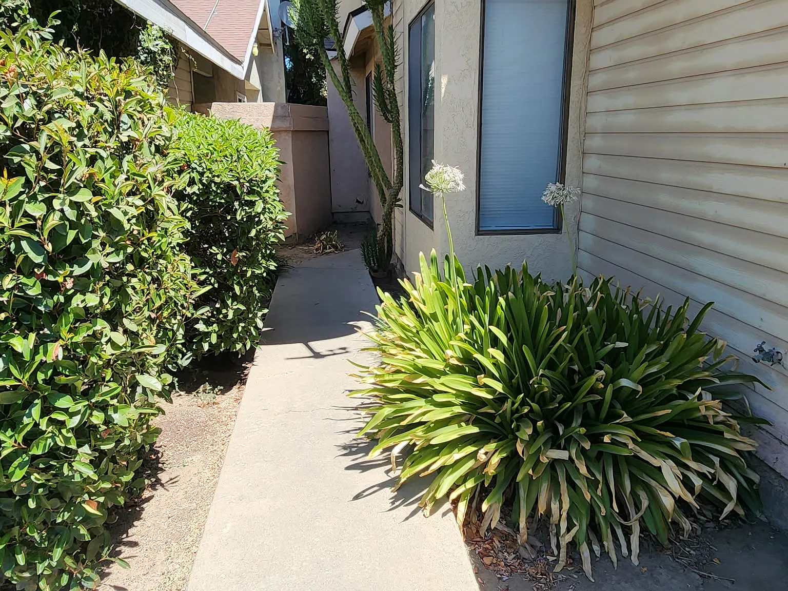 3 bed, 1138 sqft, $2,200 — Photo 2