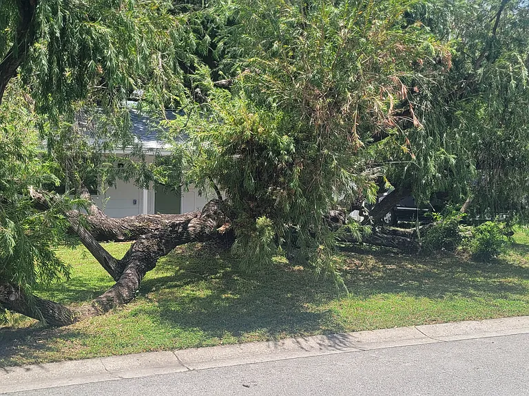 201 S Pegasus Ave — Photo 3