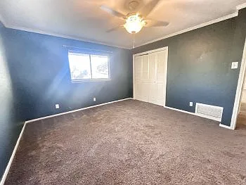 1438 Plumeria St — Photo 18