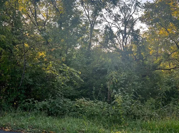0 Kings Rd, Madison Heights, VA 24572
