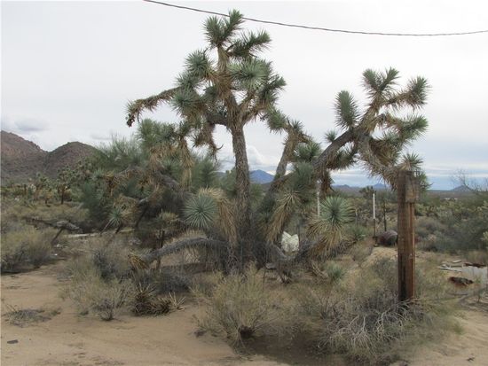 11690 S Sherry Rd, Yucca, AZ 86438