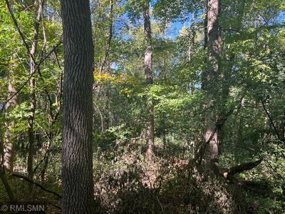 30931 Virgo St NE, North Branch, MN, 55056