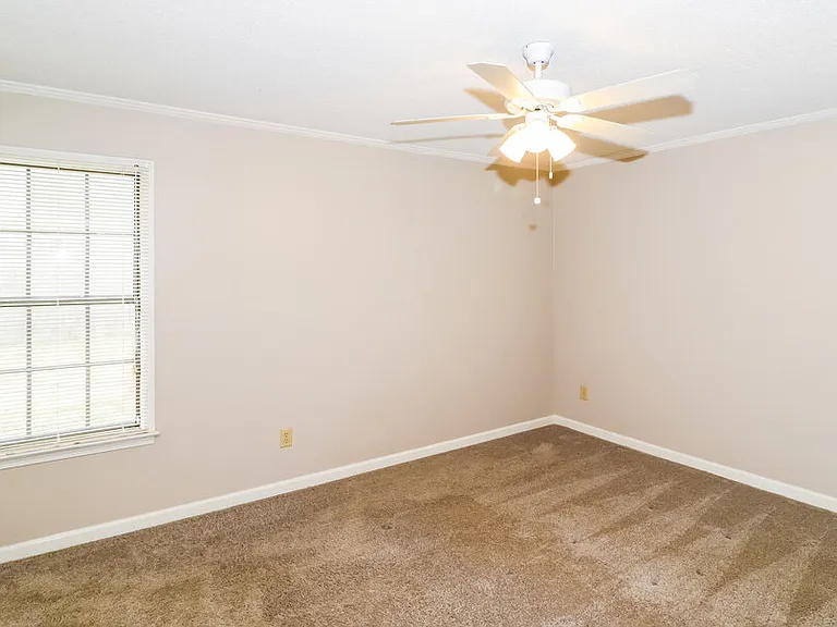 423 Cairn Cv — Photo 15