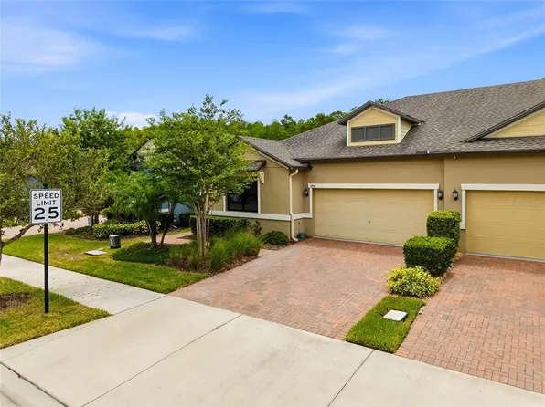 16952 Balance Cv, Land O Lakes, FL 34638