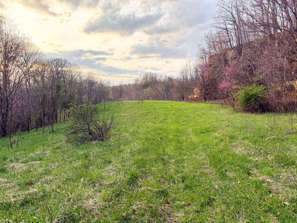 Real estate listing image