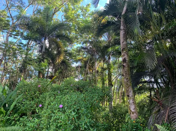 19th Ave Lot 1462, Keaau, HI 96749